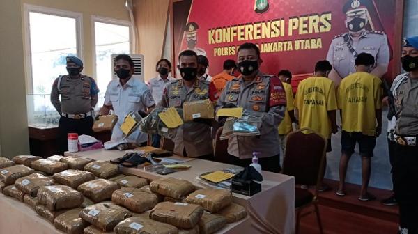 Polisi Ringkus Bandar Ganja Seberat 52,9 kilogram di Jonggol, Kabupaten Bogor.