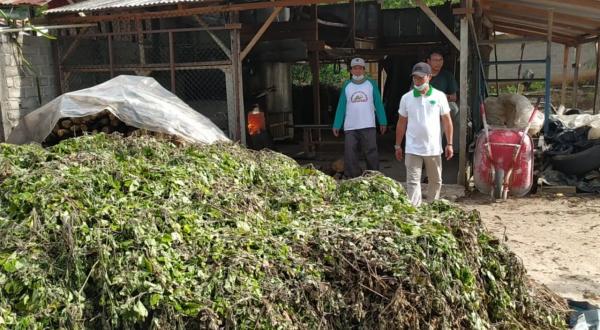 Kreatif, Produksi Minyak Nilam Petani di Desa Airbara Raup Ratusan Juta Rupiah