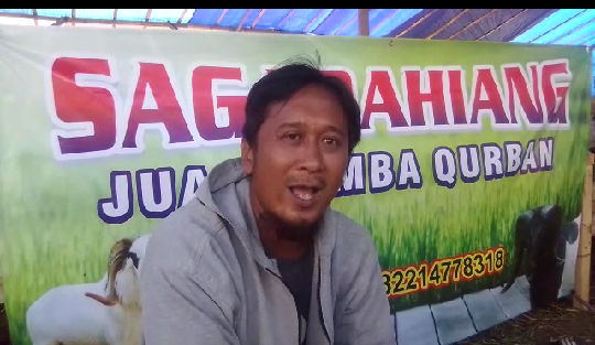 Alex 'Ompong' Jual Hewan Kurban Secara Online, Omset Stabil