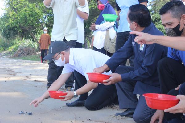 Bangka Tengah Kembangkan Nila Salin