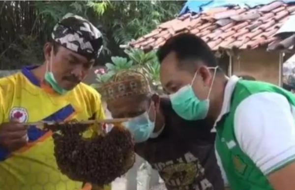 Pemakaman Umum di Kota Tegal jadi Tempat Budidaya Lebah