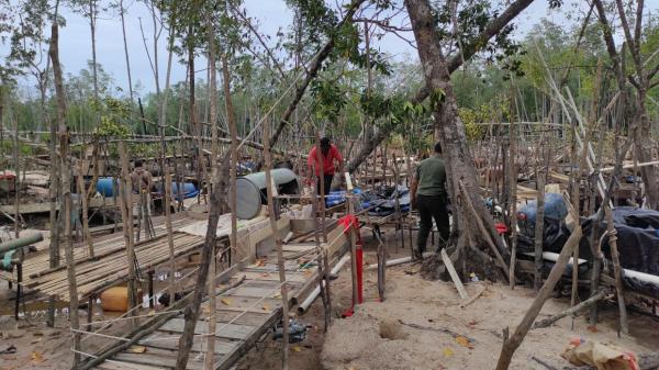 Aparat Gabungan Tertibkan TI Ilegal di Hutan Mangrove Belo Laut