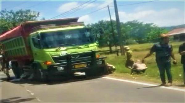 Kecelakaan Lalu Lintas Maut, Kakak Beradik Tewas Terlindas Dump Truk di Jonggol