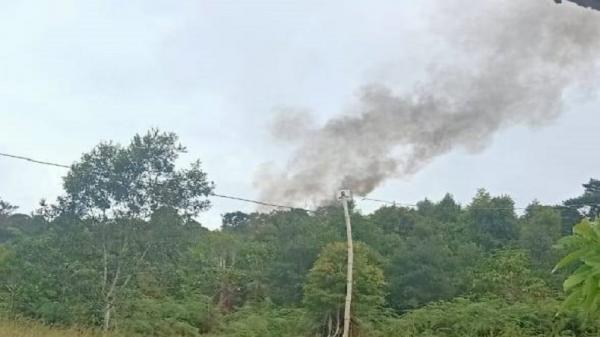 KKB Kembali Mengamuk, Sejumlah Rumah Warga di Kiwirok Pegunungan Bintang Dibakar