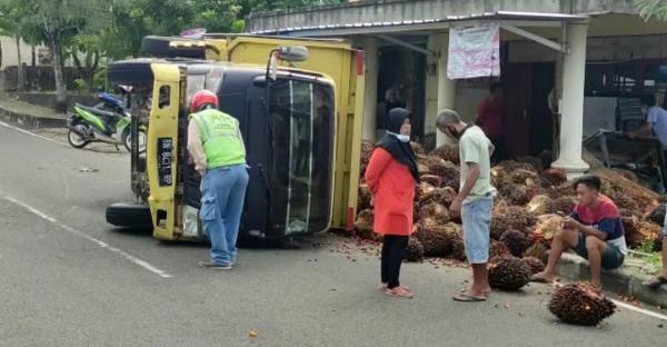 Hindari Mobil Putar Arah, Truk Pengangkut Sawit Terguling