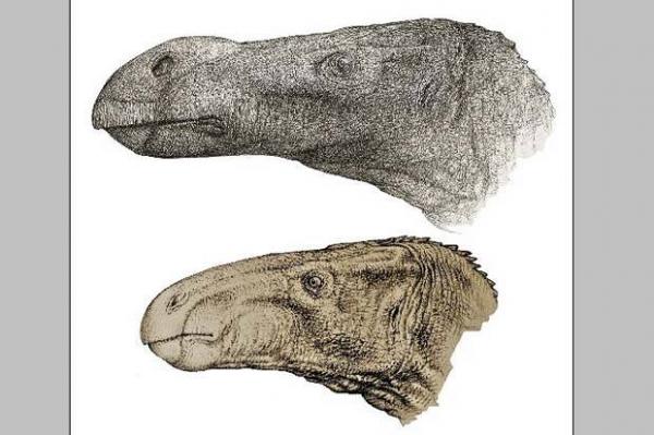 Spesies Baru Dinosaurus Iguanodon Ditemukan Peneliti Inggris  di Kepulauan Isle