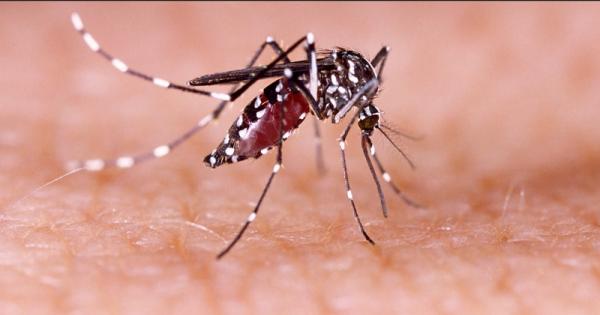 Gawat! Ribuan Warga Kota Bekasi Terpapar Virus Dengue Di Tengah Pandemi