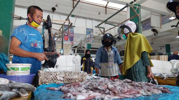 Harga Ikan di Bangka Tengah Naik 25%, Tenggiri Tembus Rp100 Ribu