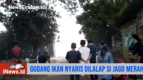 Video Kebakaran Gudang Ikan di Cirebon