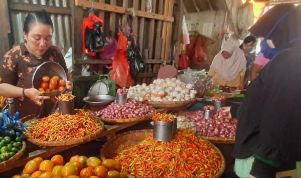 Harga Rica Kotamobagu Mulai Naik,  Potensi Tak Terkendali Diakhir Tahun