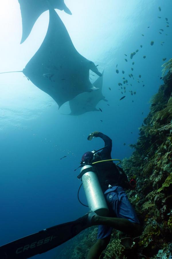 a sample image