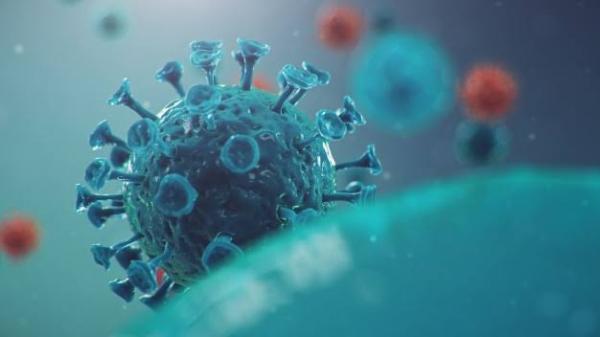 Virus Corona Tipe Baru dan Lebih Mematikan Menyebar di India