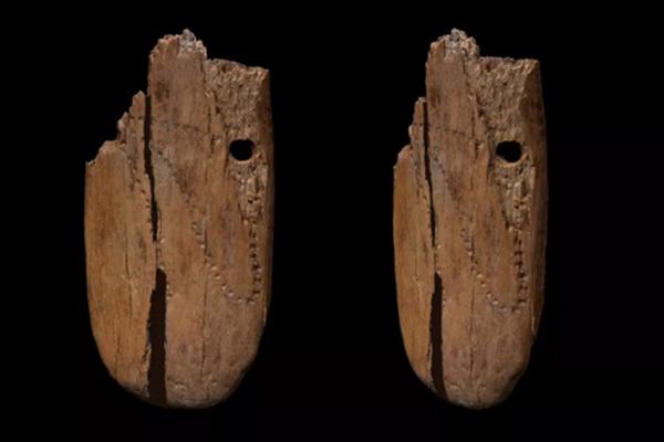 Arkeolog di Polandia Kedapatan Liontin Kuno Berusia 41.500 Terbuat dari Gading Berukuran Jumbo