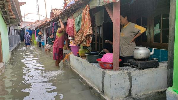 Total 3.493 Rumah dengan 14.170 Jiwa Terdampak Banjir Rob di Pesisir Indramayu, Hari Ini Terparah!