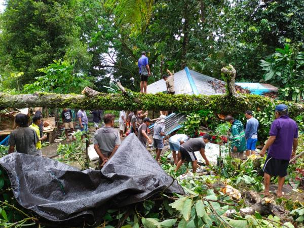 Pohon Tumbang Hancurkan Rumah Warga di Sitaro, IRT Dilarikan ke Puskesmas