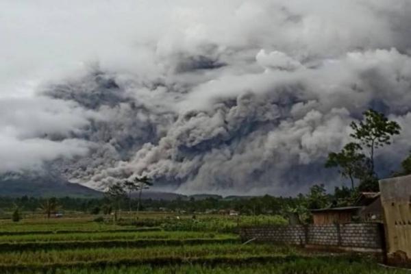 Ribuan Rumah Warga Direlokasi Akibat Erupsi Gunung Semeru, Begini Kata Jokowi