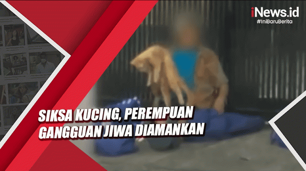 Siksa Kucing, Perempuan Gangguan Jiwa Ini Diamankan ke Mapolsek Tanjung Duren