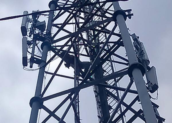 Sedang Perbaiki Antena Provider, Pekerja Meninggal Dunia Tergantung di Atas Tower