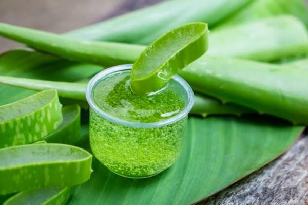 Menjaga Kesehatan dan Kecantikan Kulit, Berikut 5 Bahan Alami untuk Melembabkan Kulit Kering