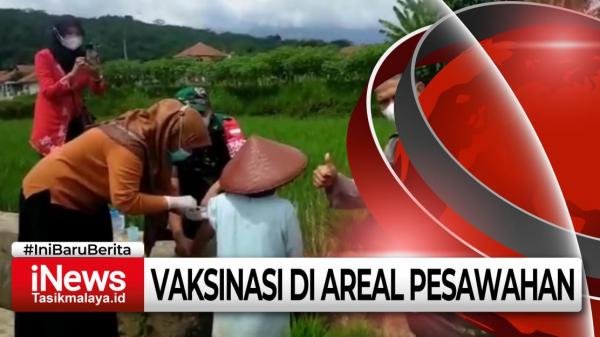 Video Polsek Cisayong Lakukan Vaksinasi di Sawah, Jangkau Warga yang Jauh Dari Faskes
