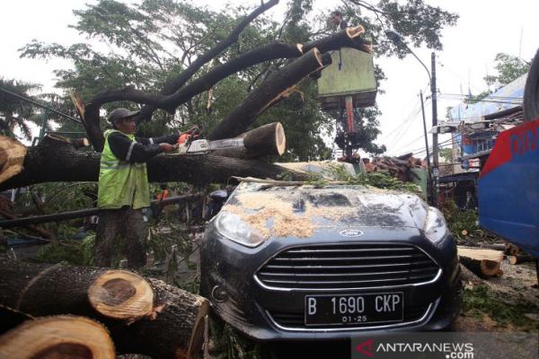 BMKG Catat Kecepatan Angin 20 Knots, Hujan dan Angin Kencang Landa Tangerang