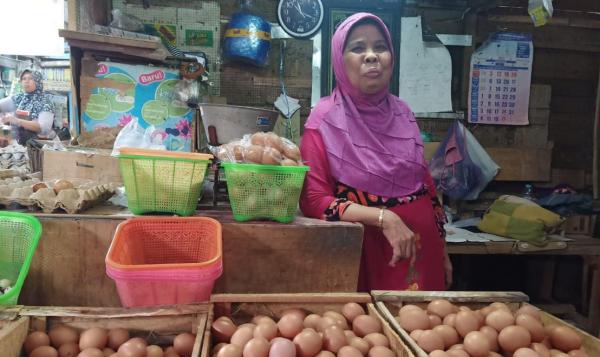 Harga Telur Ayam Rp31.000, Masih di Atas Harga Rata-Rata
