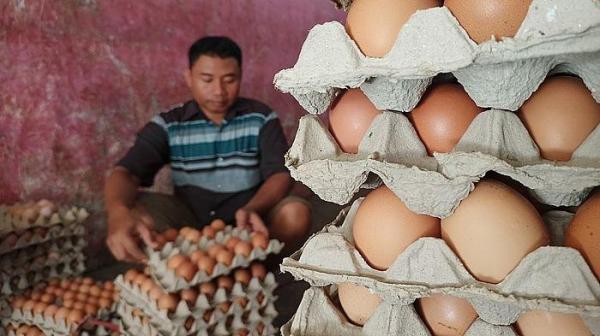 Omset Turun, Harga Telur di Banjarnegara Tembus Rp 30.000 per Kilogram