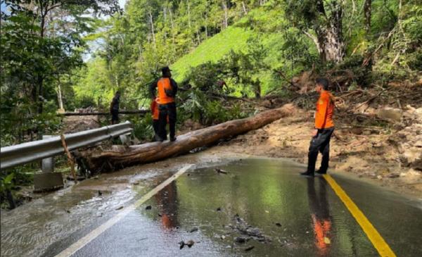 Jalan Trans Pulau Sumba Lumpuh Usai Banjir dan Longsor, Pengendara Putar Balik
