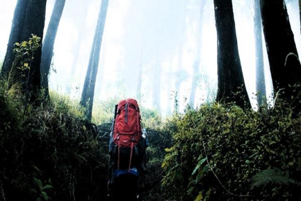 Libur Akhir Tahun: Ini 6 Gunung Cantik Dekat Bogor yang Jadi Incaran Pendaki