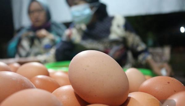 Jelang Tahun Baru, Harga Telur Istimewa, Konsumen Menderita