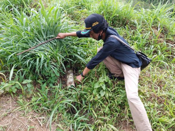 PT Greenfields Indonesia Keok, PN Blitar Jatuhi Vonis Pencemar Lingkungan