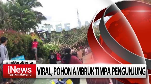 Video Viral, Ini Penjelasan Pengelola Teejay Terkait Pohon Ambruk yang Menimpa Pengunjung