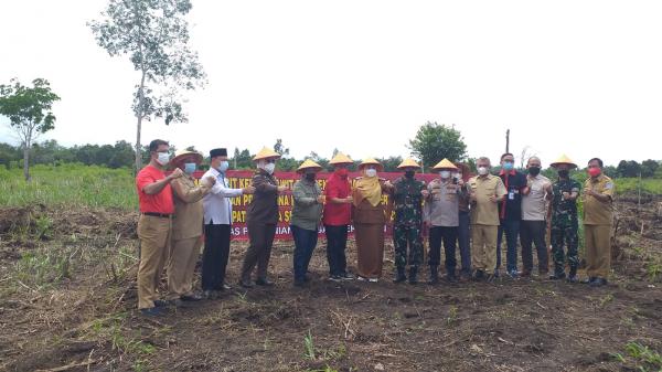 Bantuan Bibit Sawit Program Bupati dan Wabup Bangka Selatan Mulai Disalurkan