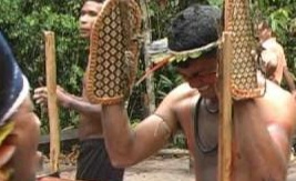 Suku Satere Mawe, Ritual Mengerikan sebagai Tanda Kedewasaan Pria di Pedalaman Amazon