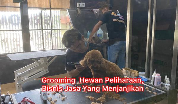 Jasa Perawatan Hewan Peliharaan