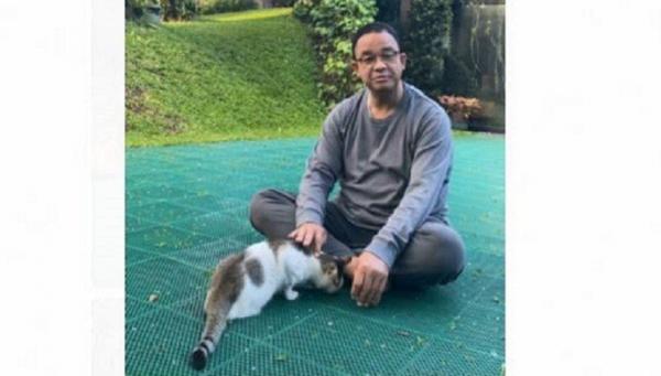 Kucing Peliharaan Gubernur DKI Anies Baswedan Berkaki 3 Super Manja dan Bersahabat 