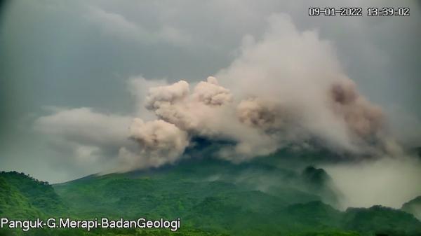 Awal 2022, Gunung Merapi Muntahkan Awan Panas Sejauh 2.500 Meter