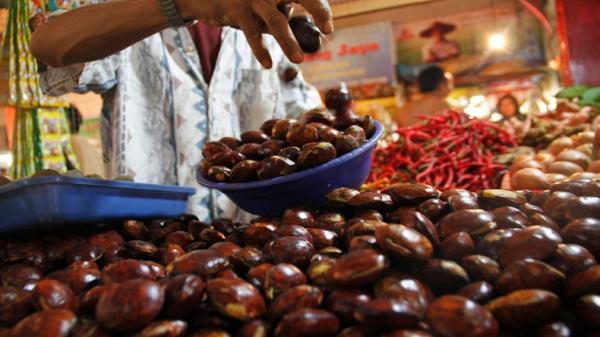 Edan Euy! Harga Jengkol di Pasar Tradisional Tembus Rp50.000 per Kilo, Sayuran Lain Juga Naik
