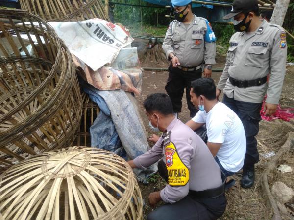 Judi Sabung Ayam Banyuwangi Diobrak Polisi