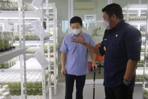 Tiga Pembibitan yang Dikembangkan GMZ Biomega Utama Sedot Perhatian Gubernur Sumatera Selatan