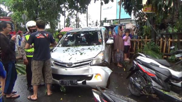 6 Kendaraan Tertimpa Pohon Tumbang Akibat Hujan Deras dan Angin Kencang di Bogor