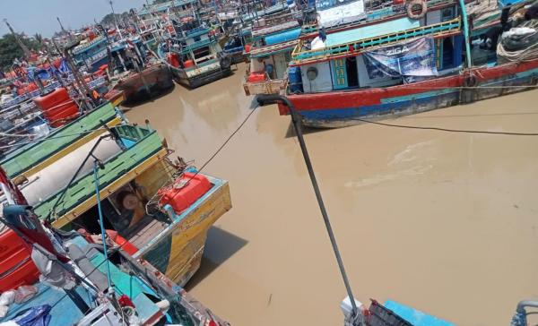 Ratusan Kapal Nelayan Pulang Kampung Gegara Cantrang Dilarang