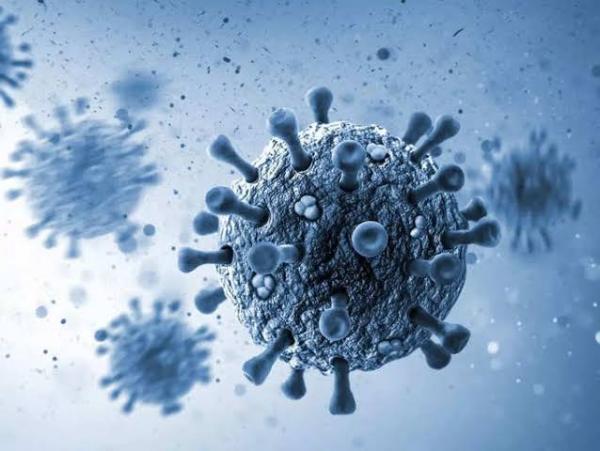 Heboh! Virus Baru Yang Berpotensi Menular Seperti Covid-19 Ditemukan, Kini Sedang Diteliti WHO