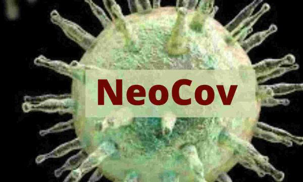 Peneliti China Beri Peringatan Virus Baru NeoCov, Apa Itu?