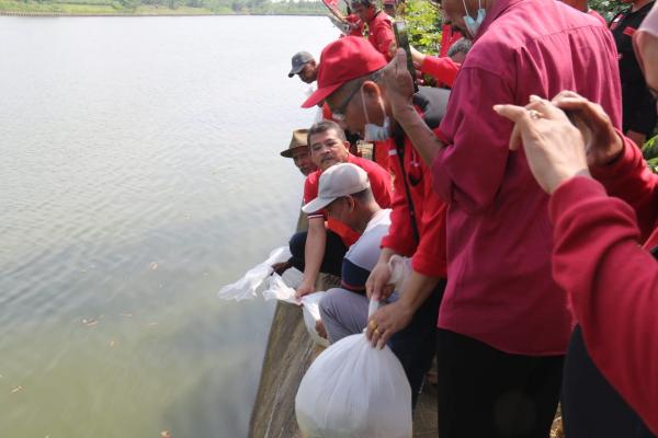 Kader PDI Perjuangan Indramayu Tebar Benih Ikan Bantuan dari Megawati