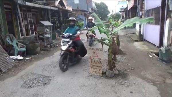 Waduh, Jalan Tambakrejo Jombang Siap Panen Pisang