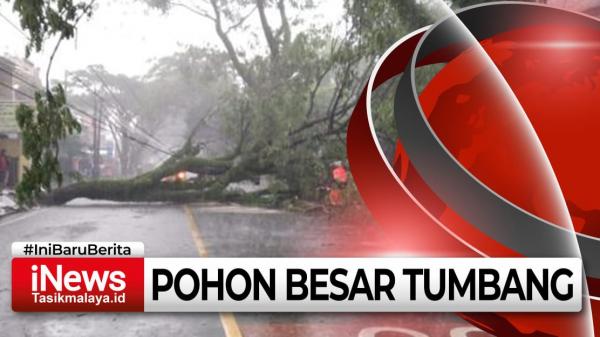 Video Pohon Besar Tumbang Melintang ke Jalan di Indihiang, Arus Lalin Sempat Macet