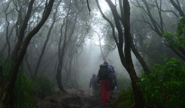 Kisah Horor Tersesat di Gunung Slamet, Awe Diperlihatkan Sosok Pendaki Lain di Desa Siluman