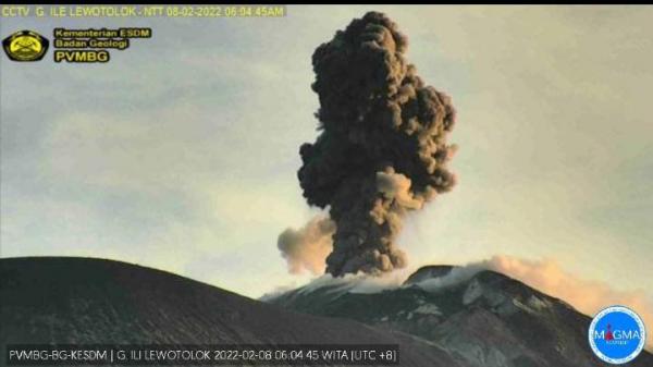 Kembali Erupsi Pagi Ini, Gunung Api Ile Lewotolok Sebabkan Puluhan Kali Gempa