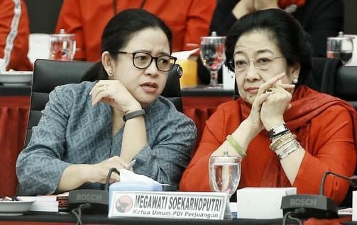 Anak Megawati dan Cucu Bung Karno, Puan: Tak Ada Privilege Politik, Saya Kerja Keras untuk Pencapain